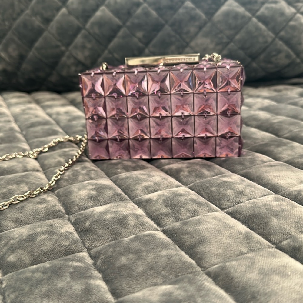 Crystal BCBG purse